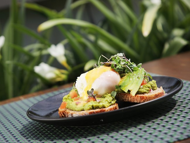 Brunch
